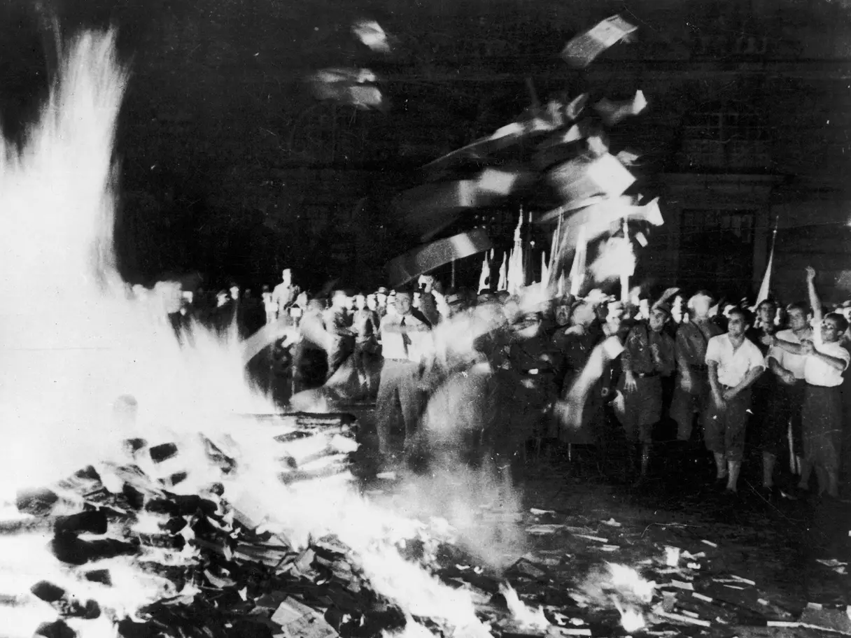 Сжигание книг в нацистской германии